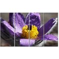 thumbnail image 2 of Purple Flower with Yellow Stigma - Floral Canvas Art Print, 2 of 3