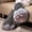 Grey, variant on Womens Boots Cat Role Play Mid Calf Anime Convention Shoes For Women Plush Soft Sole Non Slip Costume Party Footwear US :9