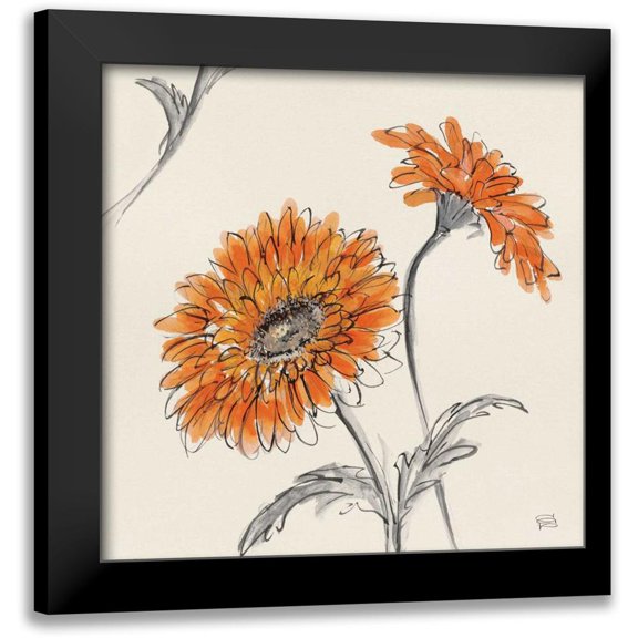 Paschke, Chris 12x12 Black Modern Framed Museum Art Print Titled - Orange Gerbera II