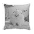 thumbnail image 2 of Ahgly Company Animals Rabbit Indoor Throw Pillow, 18 inch by 18 inch, 2 of 6