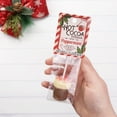 thumbnail image 5 of Hot Chocolate Stirrer with Peppermint, Holiday Stocking Stuffer, 1.13 Ounces, 5 of 7