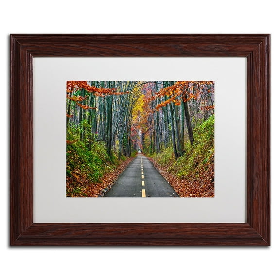 Trademark Fine Art "Paths" Canvas Art by CATeyes, White Matte, Wood Frame