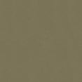 thumbnail image 2 of R&E Paint Supply Compatible with Ford BF, Cypress Gold Frost Automotive Paint, 2 of 4