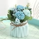 thumbnail image 3 of 1 maceta para plantas de hortensia, maceta azul. MFZFUKR CPB-US-DYP53-2, 3 of 4