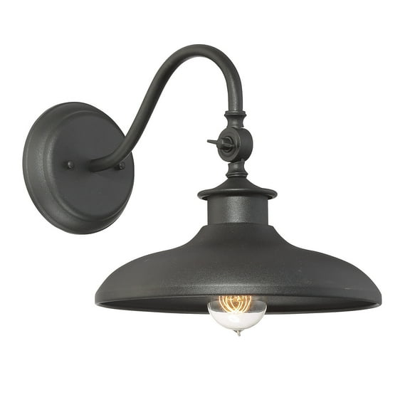 Elegant Outdoor Light Fixture - Raleigh 1-Light