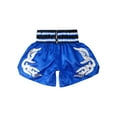 thumbnail image 4 of Hansber Kids Boys Boxing MMA Shorts Muay Thai Kickboxing Martial Arts Trunks Grappling Short Bottoms Blue L/160, 4 of 8