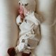 thumbnail image 5 of Yg,ropa para bebé de 0 a 18 meses, mono para bebé recién nacido, mono suave y cómodo con estampado de oso de algodón, ropa para bebé niña, 5 of 5