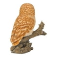 thumbnail image 4 of Hi-Line Gifts 12.5" Tawny Owl on Stump Outdoor Garden Statue, 4 of 5