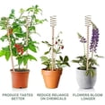 thumbnail image 4 of 10 Estacas para Plantas de Electrocultivo 13,5 Pulgadas, Largas Cobre, Antenas Bobina Cobre Jardín en Crecimiento, 4 of 5