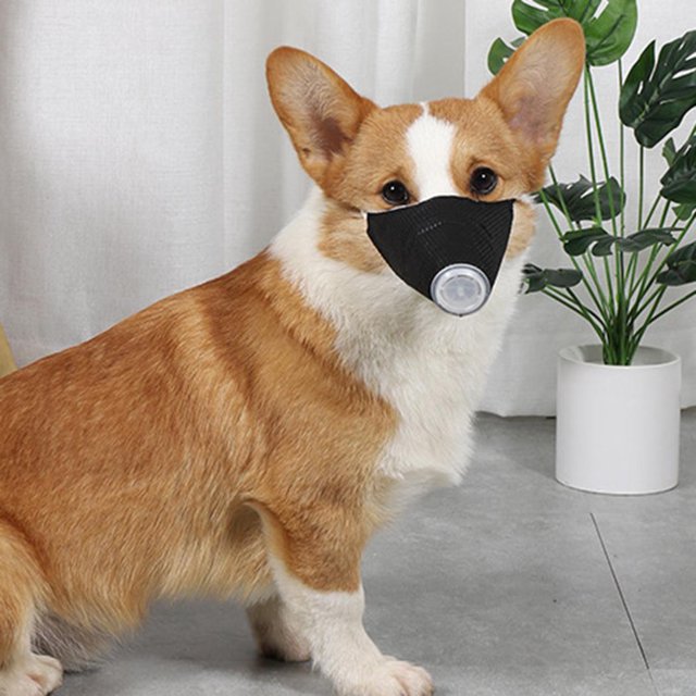 1/3pcs Dog Dustproof Mask Dog Mouth Cover