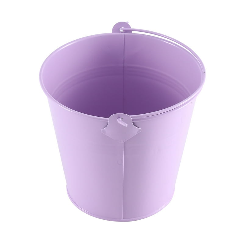 Qtmnekly 12 Pieces Small Bucket with Handle, Cute Mini Fleshy Pot Metal Craft Composite Section Gift, Purple