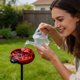 thumbnail image 5 of Ceramic Bath Outdoor Water Feeder For Butterflies, 5 of 8