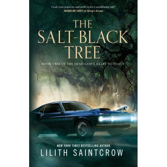 Pre-Owned The Salt-Black Tree: Book Two of the Dead God's Heart Duology (Paperback) 1250791561 9781250791566