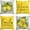 Lemon, variant on Summer Hello Sunshine Bee Truck Polka Dots Throw Pillow Covers, 18 x 18 Inch Summer Cushion Case for Sofa Couch Set of 4
