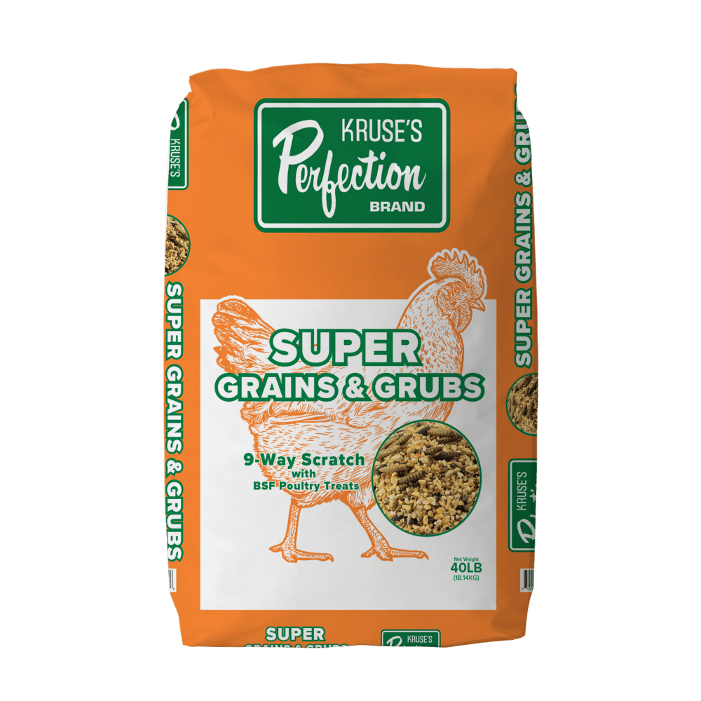 Super Grains with Super Grubs Premium Poultry Treats for Happy and Healthy Chickens