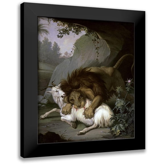 Peter, Wenzel 12x14 Black Modern Framed Museum Art Print Titled - A Lion Attacking a Goat