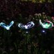 thumbnail image 5 of Luz Solar Para Jardín, 7 Colores Que Cambian De Mariposa, Luz Led De Estaca Solar Para Patio, Macizo De Flores 3 Uds. Vogacara HA035902-00, 5 of 6