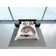thumbnail image 4 of Porcupine Doona Cover Cute Bedspread Dorm Bed Set With Pillowcase, King, 4 of 4