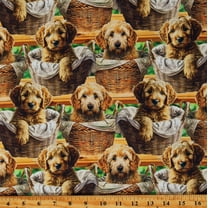 Cotton Baby Goldendoodle Dogs Puppies Pups Pets Animals Baskets Green Cotton Fabric Print by the Yard (DX-4284-3C-1MULTI)