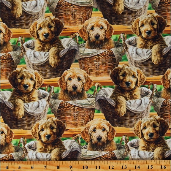 Cotton Baby Goldendoodle Dogs Puppies Pups Pets Animals Baskets Green Cotton Fabric Print by the Yard (DX-4284-3C-1MULTI)