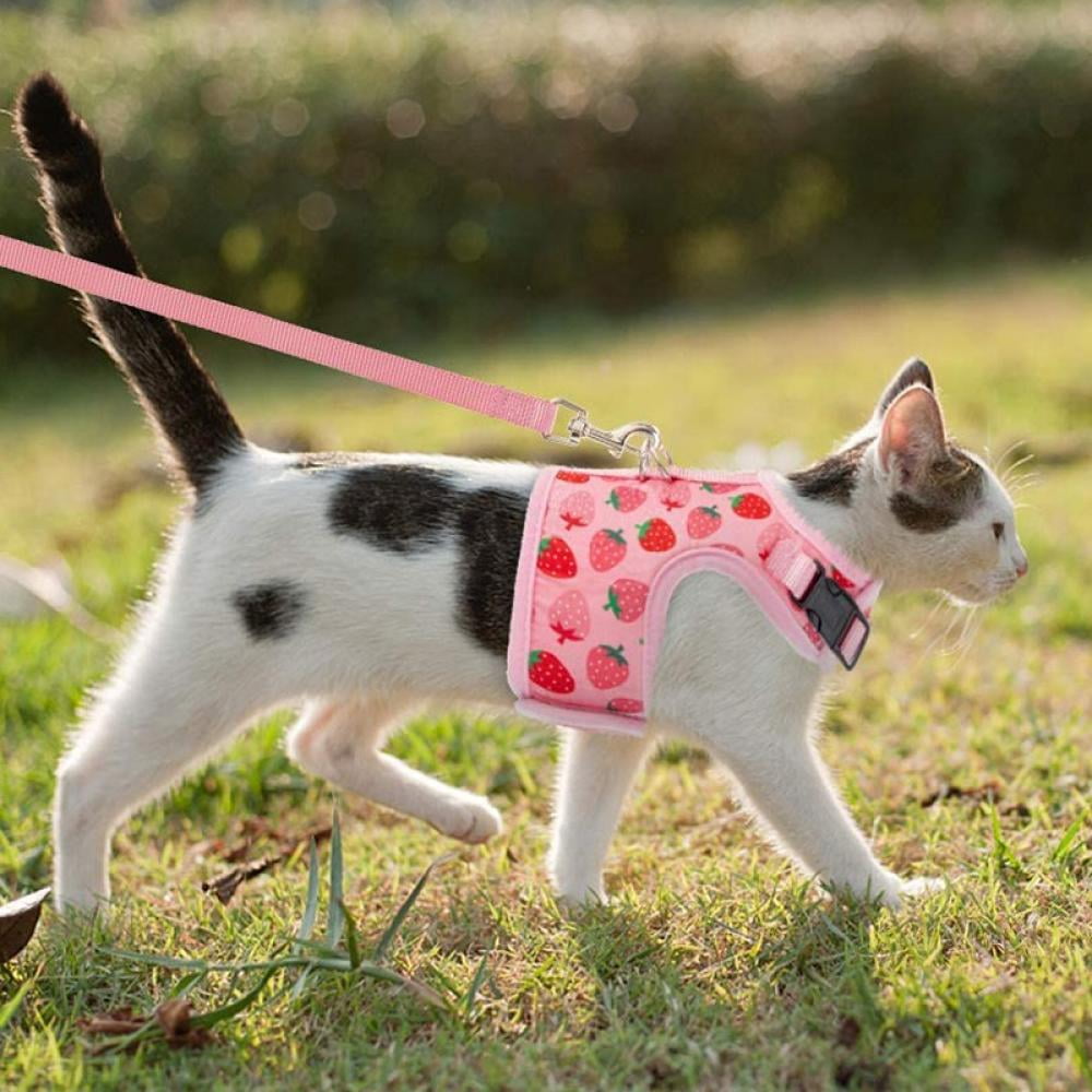 Damson Strawberry Thief Fabric Cat Collar With Bird, Flower + Leaf Print –  Bells & Whiskers Fabric Collars, Leads, Harnesses For Cats & Dogs