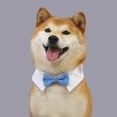 thumbnail image 7 of rygai Adjustable Pet Collar Fastener Tape Soft Lapel Handsome Dog Cat Collar Necktie Pet Supplies,Blue,S, 7 of 7