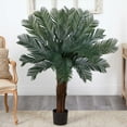 thumbnail image 2 of Nearly Natural 4ft. Cycas Artificial Tree UV Resistant (Indoor/Outdoor), 2 of 5