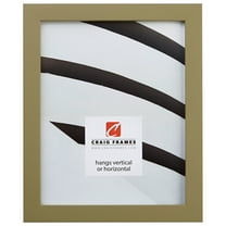 Craig Frames Confetti, 20x27 inch Picture Frame, Pastel Olive Green
