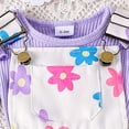 thumbnail image 5 of Hiijoy Infant Girls Summer Outfits Ruffle Short Sleeve Ribbed Romper Bow Print Overall Shorts, Sizes 9-12M, 5 of 8