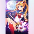 thumbnail image 1 of Luna et Sailor Moon, 1 of 7