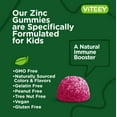 thumbnail image 3 of VITEEY Kids Zinc Gummies 15mg, Kids Immune Support Zinc Supplement, Berry Flavor, 60 Ct, 3 of 7