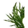 thumbnail image 6 of Natural Touch Weeping Cedar Garland 48 x 27 Inches, 6 of 8