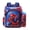 Spider, variant on Multi-compartment storage backpack, water-resistant and durable, unisex school backpack