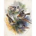 thumbnail image 2 of Henry Walker Herrick 15x18 Black Ornate Wood Framed Double Matted Museum Art Print Titled - Birds (1875), 2 of 5