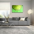 thumbnail image 5 of Epic Art 'Lemon Slice' by Dana Brett Munach, Acrylic Glass Wall Art, 36"x24", 5 of 8
