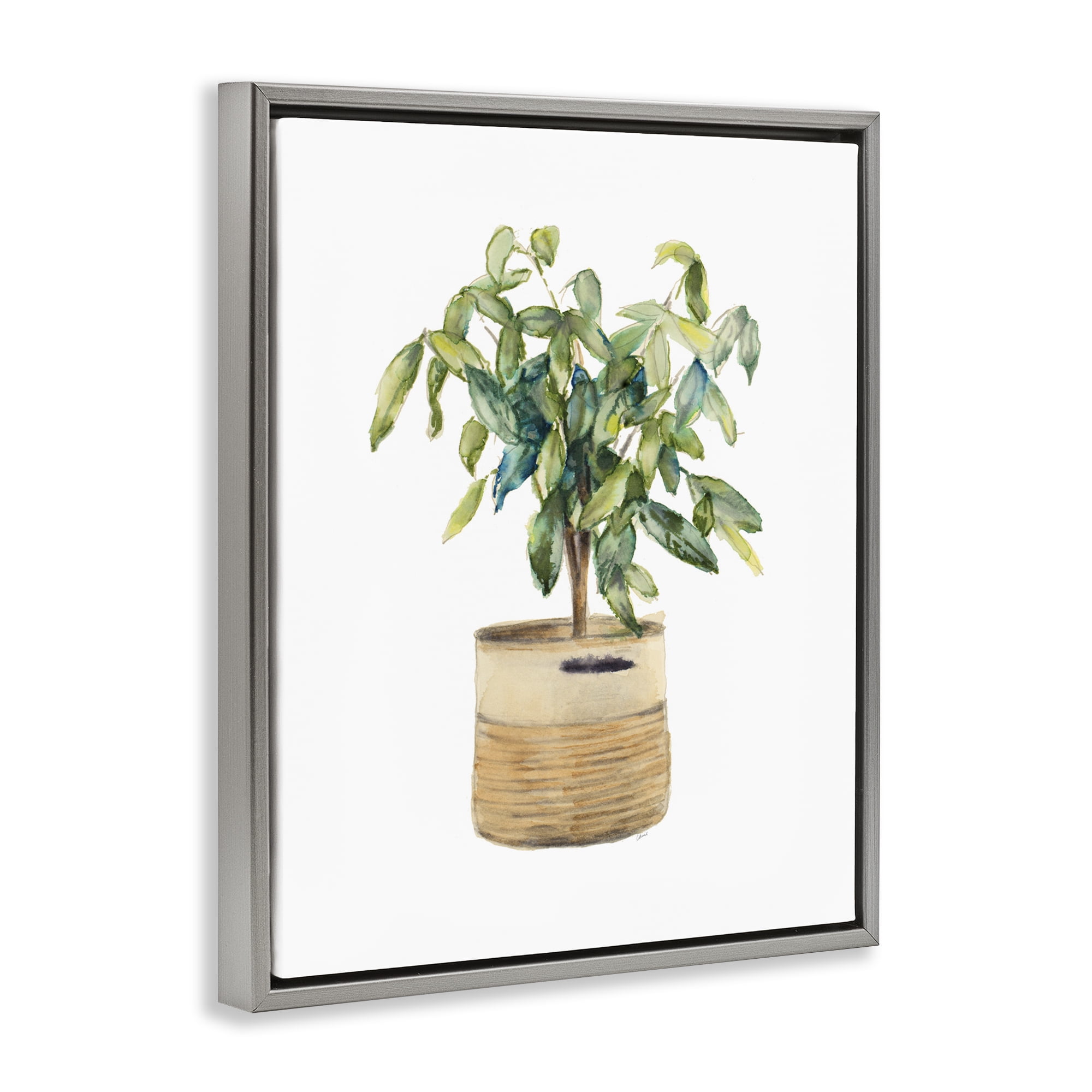 Stupell Industries Potted Plant Greenery Botanical & Floral Painting Gray Floater Framed Art Print Wall Art, 25 x 31