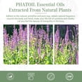 thumbnail image 6 of PHATOIL Clary Sage Essential Oils for Diffusers Humidifier 100% Pure Natural Aromatherapy Massage Bath Sleep Relaxation 30ml/1.01 fl.Oz, 6 of 7