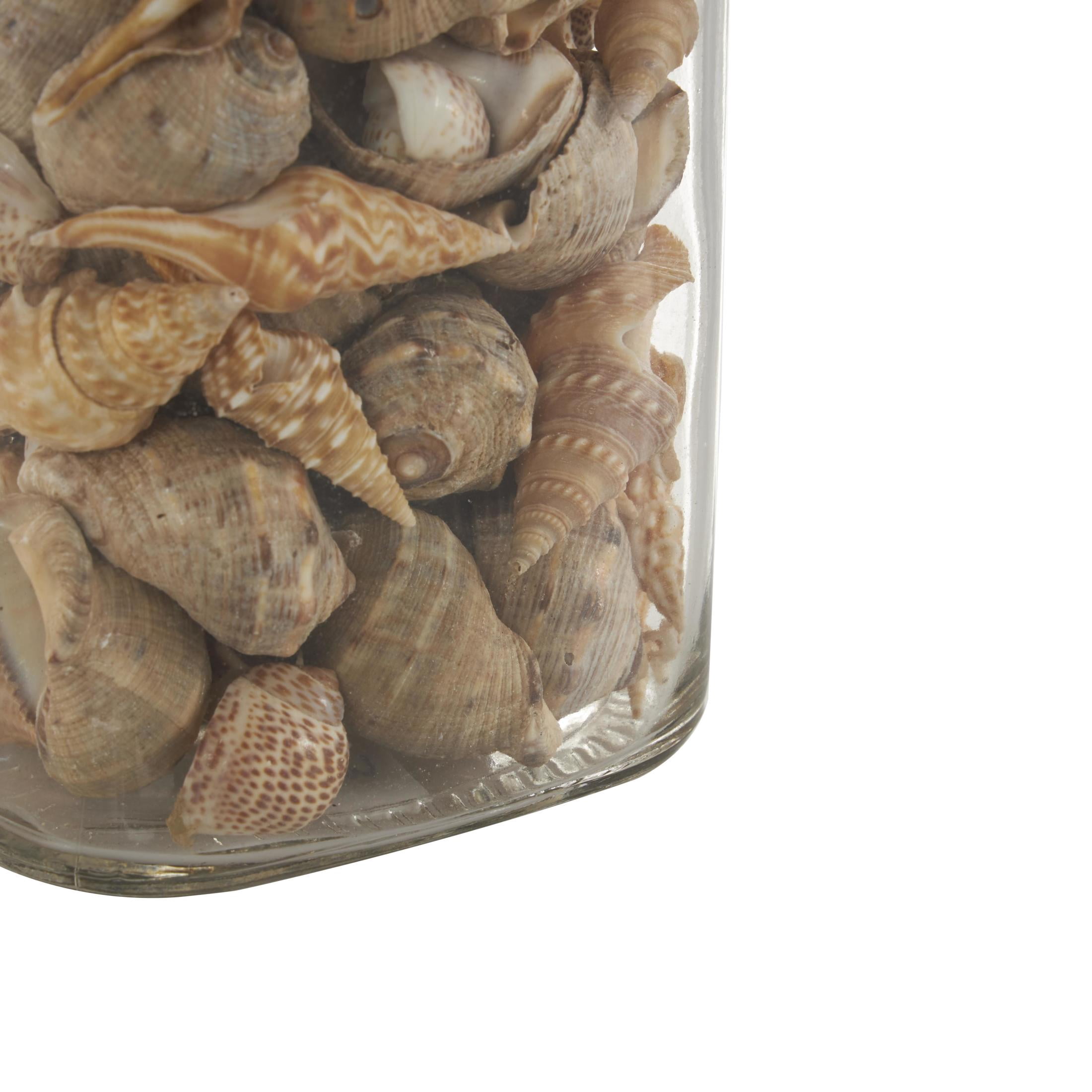 DecMode Clear 3" Glass Orbs & Vase Filler with Seashells and Jute Rope Accents (3 Count)