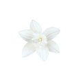 thumbnail image 2 of Fleurs de Jonquille Blanche en Pâte de Gomme - Ensemble de 6, 2 of 2