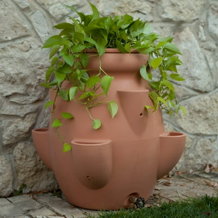 Terra Cotta Tuscana Strawberry Pot Rain Barrel