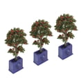 thumbnail image 4 of Micro Landscape Plants, Miniature Dollhouse Plants Long Service Life for Dollhouse Decoration, 4 of 7
