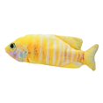 thumbnail image 1 of Juguetes de eléctricos para gatos Juguetes de ejercicio de teaser de Pescado de rayas amarillas Yuyangstore Carpa falsa meneando eléctrica, 1 of 8