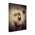 thumbnail image 3 of Canvas Wall Art - Kahar Lagaa 'Love Will Be There' Wall Art for Living Room, Bedroom, or Office Décor by Trademark Fine Art - 18 x 24 Inches, 3 of 4