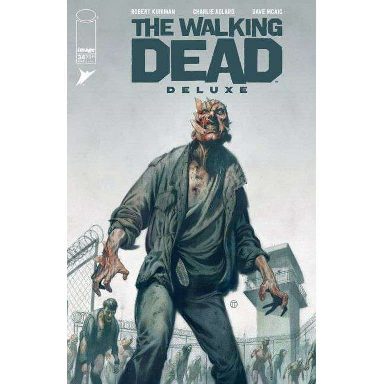 walking dead comic rick cover