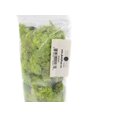 thumbnail image 4 of Josh's Frogs Reindeer Moss - Chartreuse (1 Quart), 4 of 4