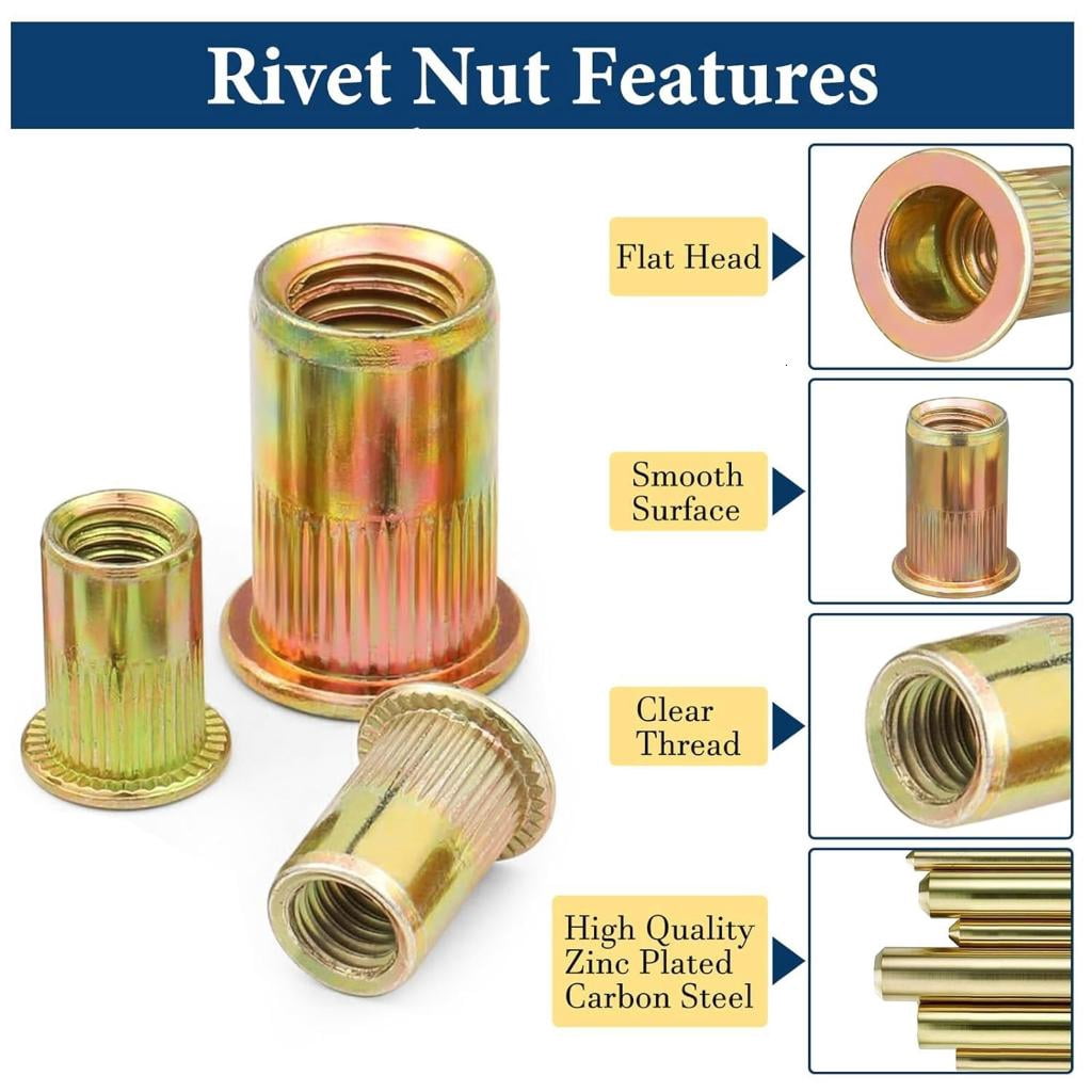 Carbon Steel Flat Head Rivet Nut Galvanized & Serrated Nut Flat Head Serrated Rivet Nut with Storage for Stable Fixing