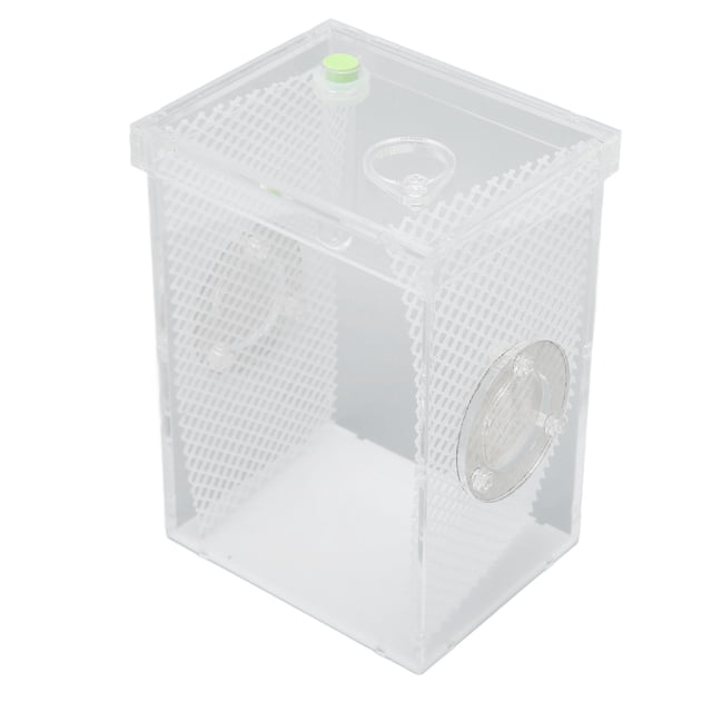 Caja De Cría De Insectos Para Reptiles, Mini Recinto Acrílico Hidratante Duradero Para Terrario De Reptiles Para Mantis Para Grillo Para Reptiles Pequeños