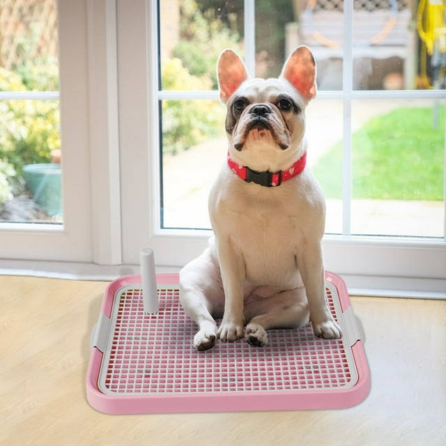 Leakproof Home Dog Urine Basin Dog Toilet