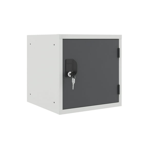 Casiers Cubiques de 15 Pouces - Gris Carcasse - Porte ( Gris)