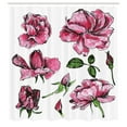 thumbnail image 3 of Ambesonne Pink Green Shower Curtain, Garden Flowers Rose Buds, 69"Wx75"L, Pale Pink Hot Pink, 3 of 5